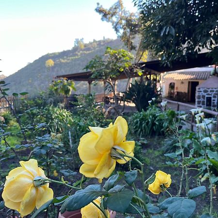 Finca Los Arcos Del Laurel Moya  المظهر الخارجي الصورة