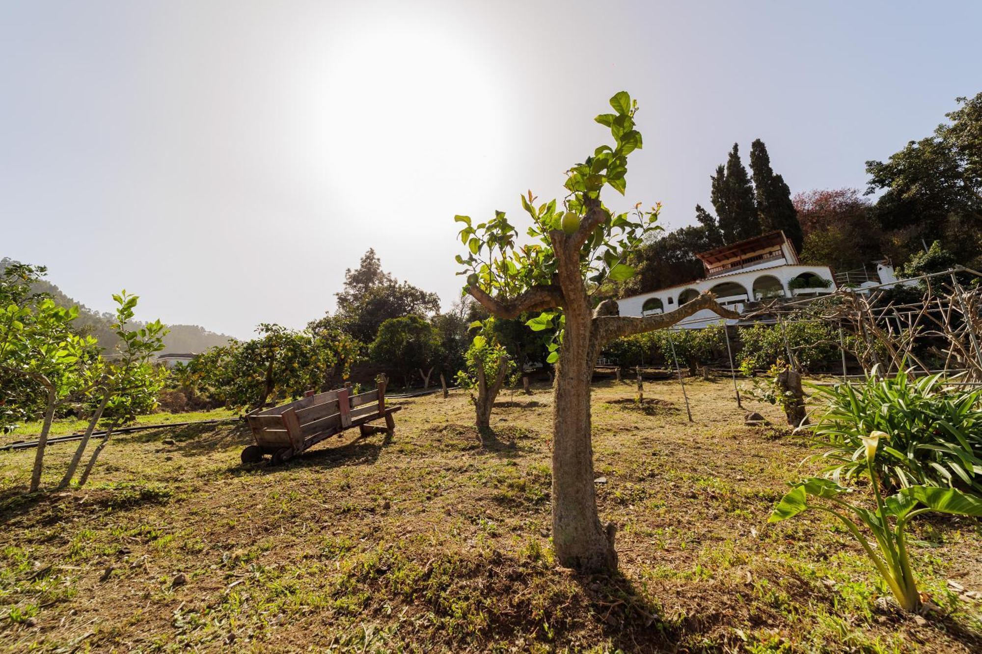Finca Los Arcos Del Laurel Moya  المظهر الخارجي الصورة