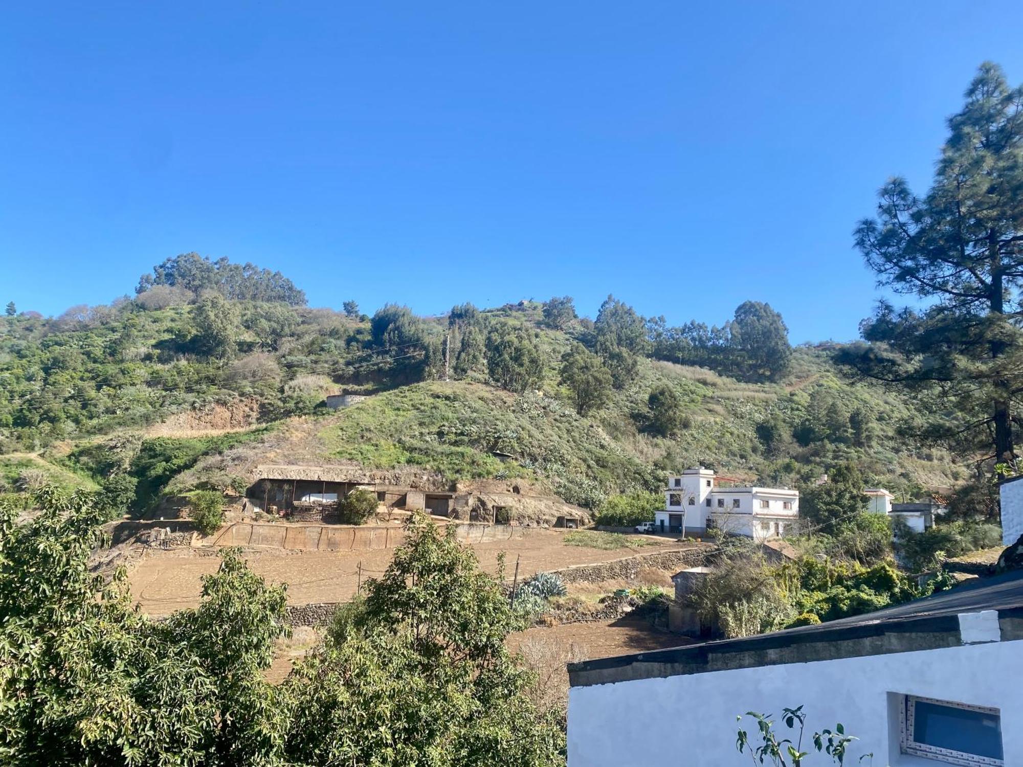 Finca Los Arcos Del Laurel Moya  المظهر الخارجي الصورة