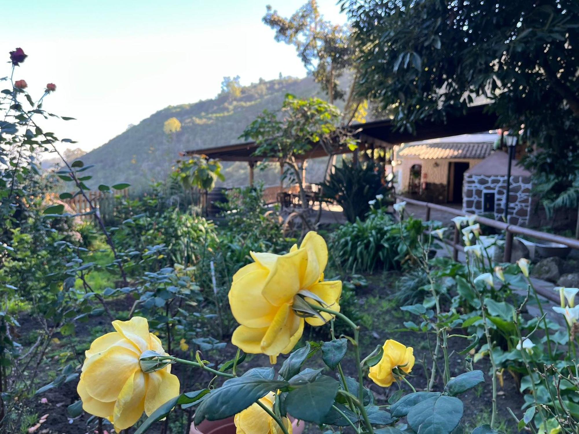 Finca Los Arcos Del Laurel Moya  المظهر الخارجي الصورة