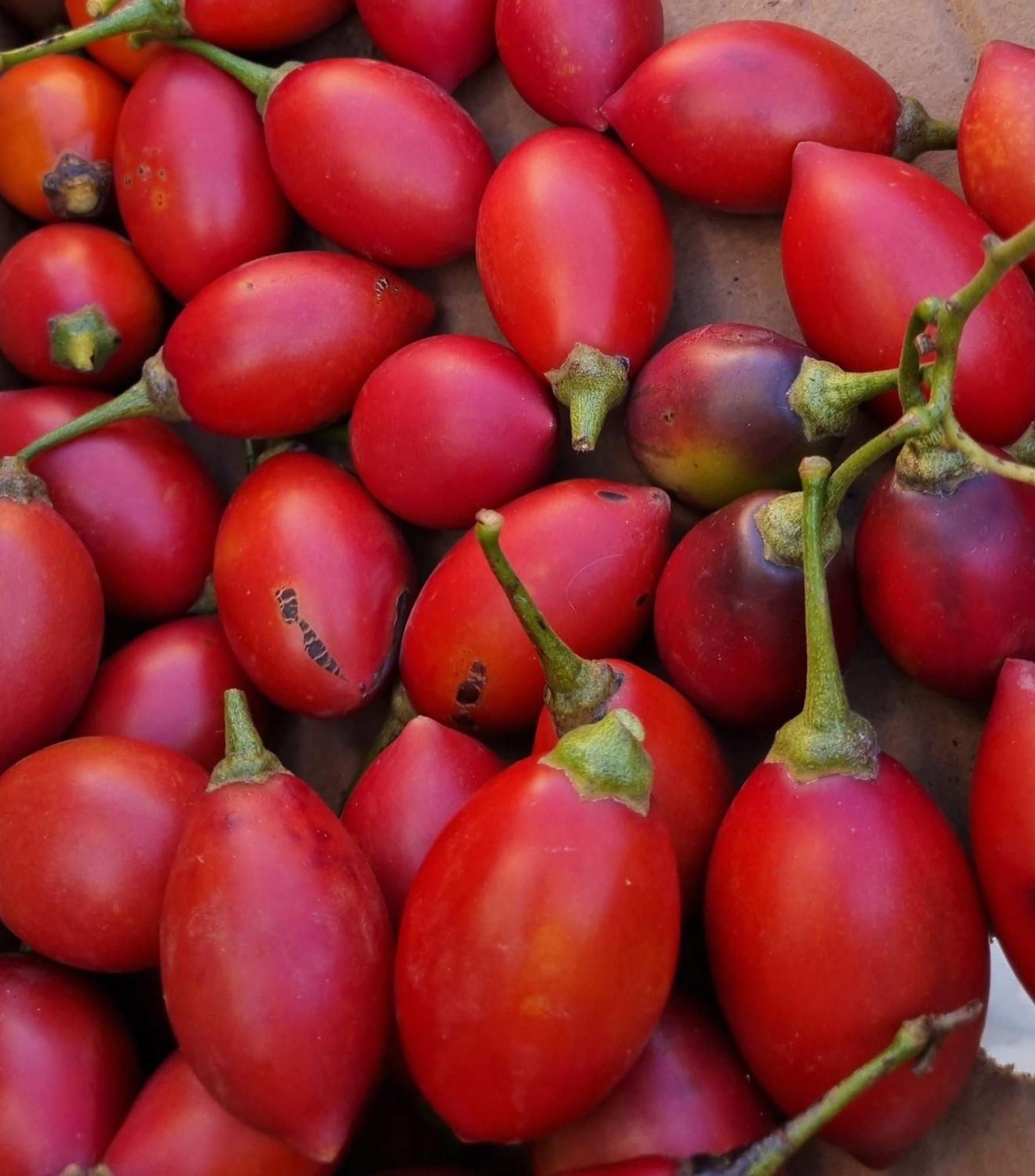 Finca Los Arcos Del Laurel Moya  المظهر الخارجي الصورة