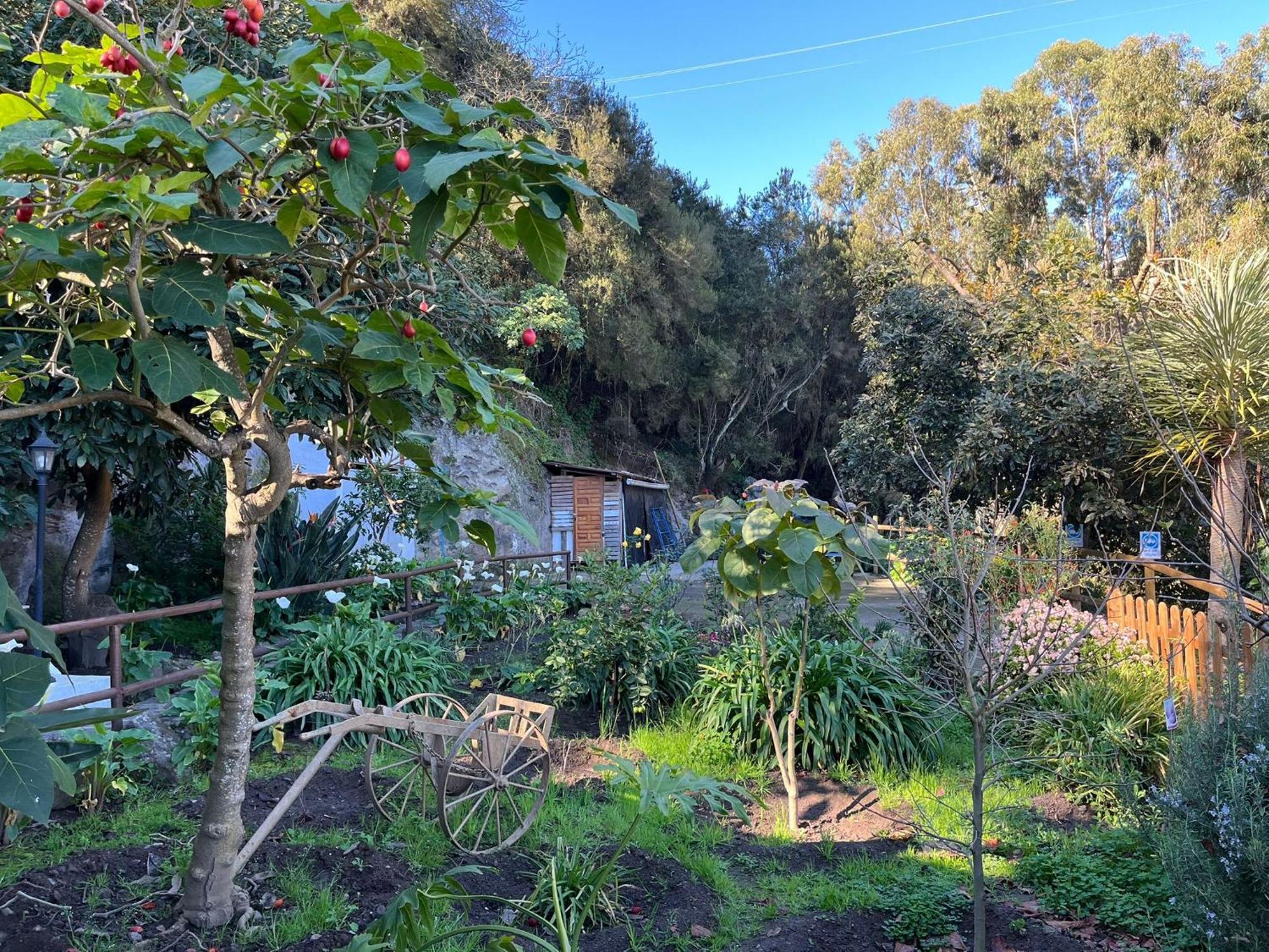 Finca Los Arcos Del Laurel Moya  المظهر الخارجي الصورة