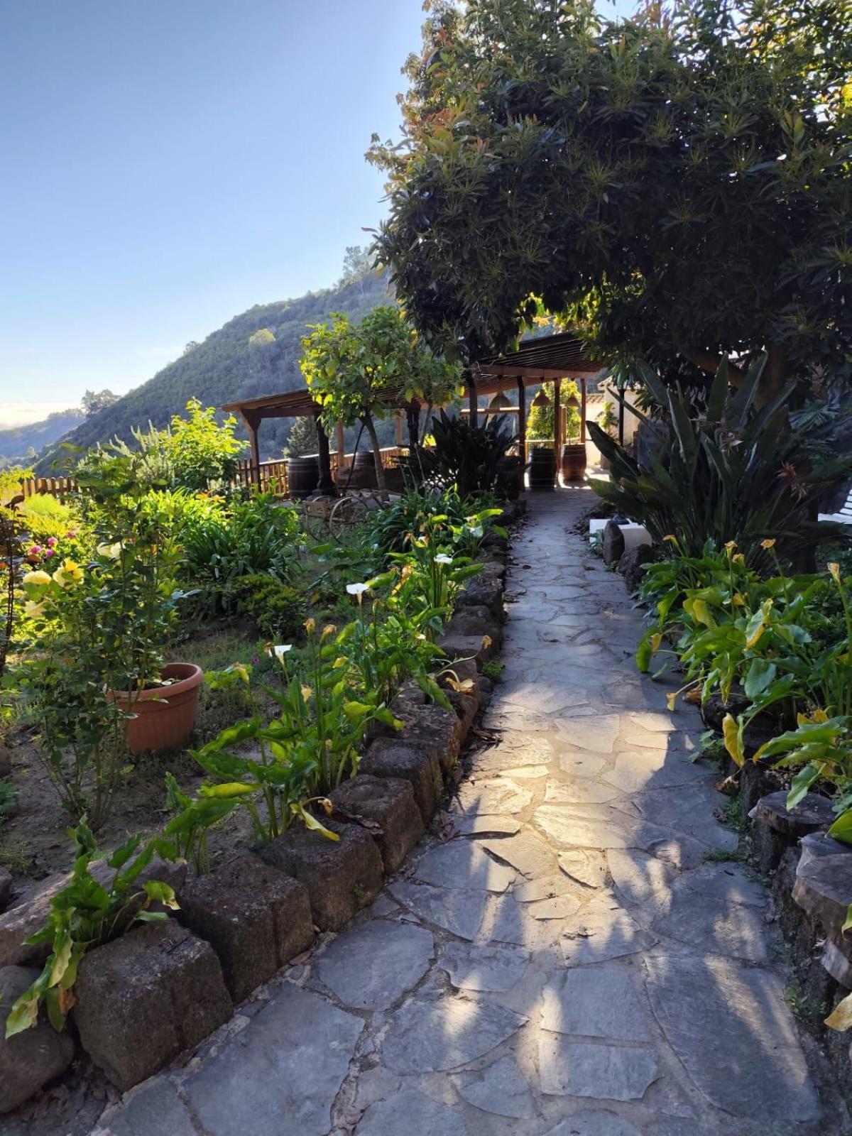 Finca Los Arcos Del Laurel Moya  المظهر الخارجي الصورة