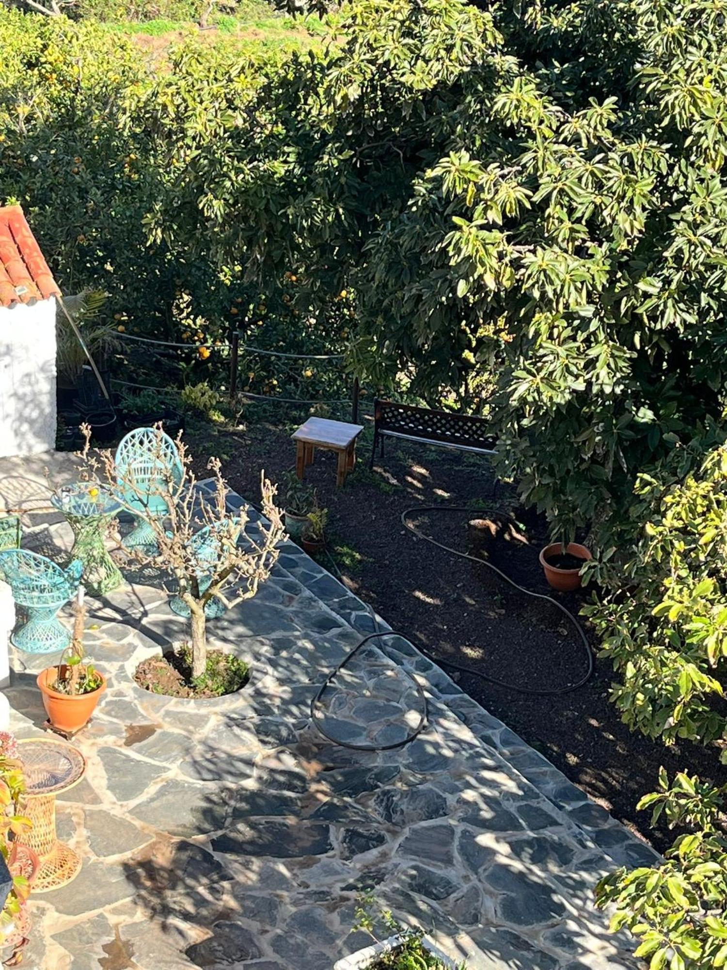 Finca Los Arcos Del Laurel Moya  المظهر الخارجي الصورة
