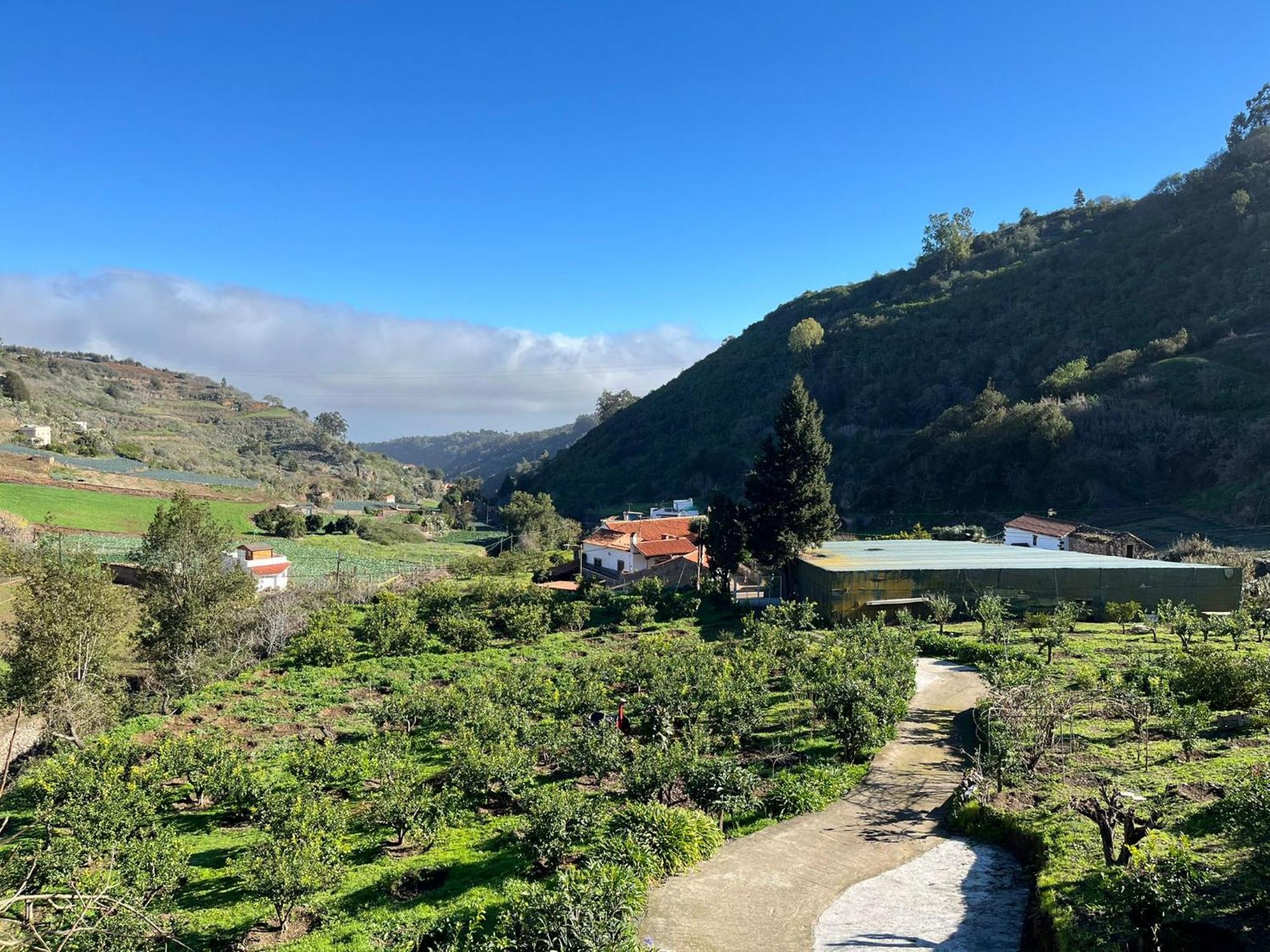 Finca Los Arcos Del Laurel Moya  المظهر الخارجي الصورة