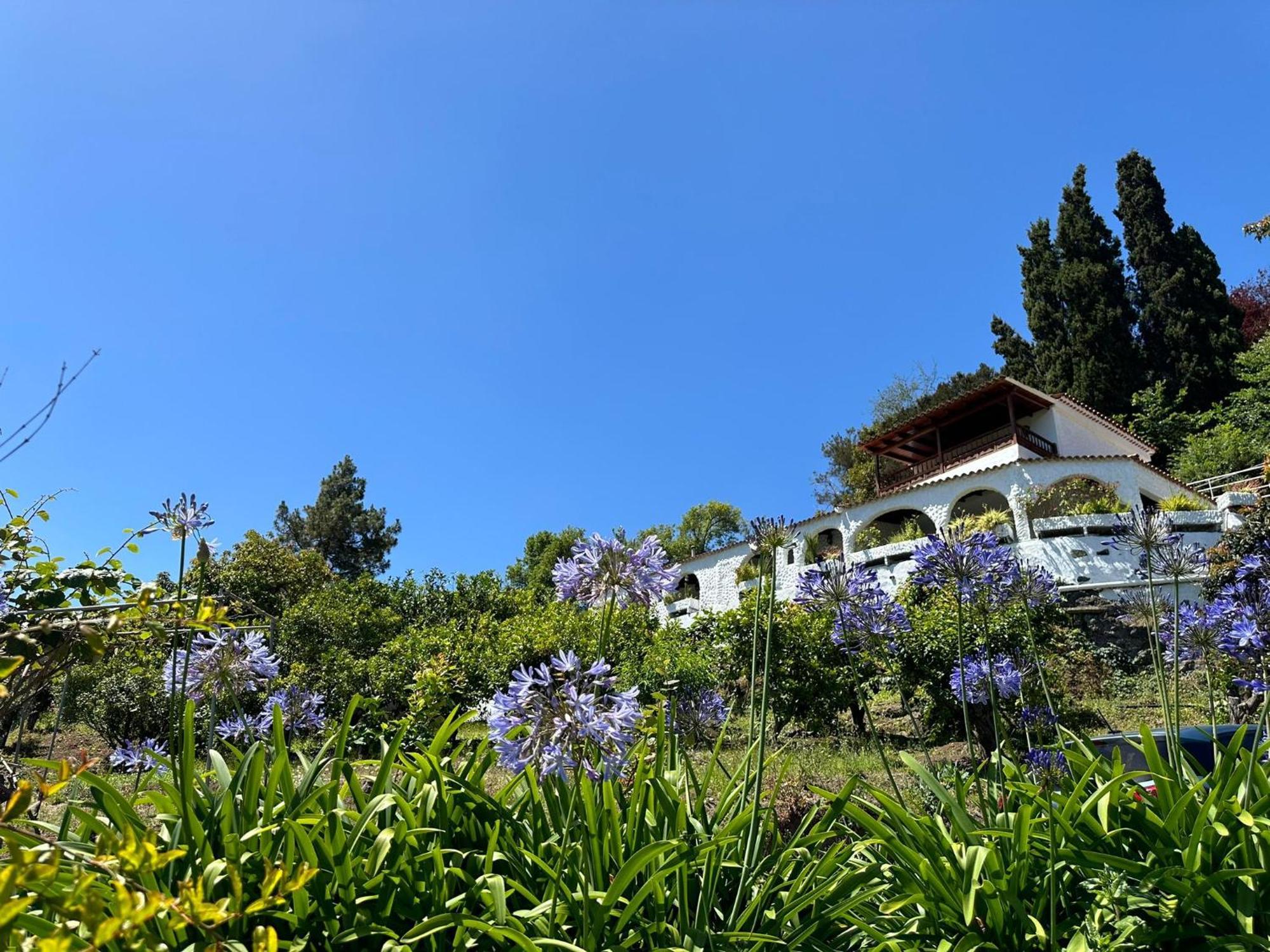 Finca Los Arcos Del Laurel Moya  المظهر الخارجي الصورة